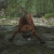 "Monster Dog" icon